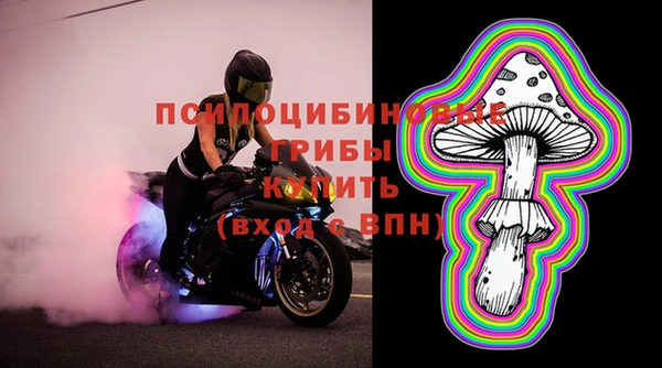 стаф Волосово