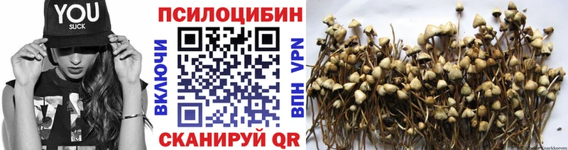KRAKEN ONION  Грязи  Галлюциногенные грибы MAGIC MUSHROOMS 