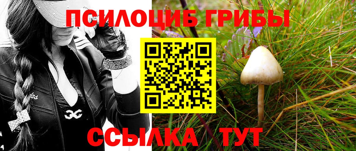 Грязи  Галлюциногенные грибы мицелий  Вход с VPN 