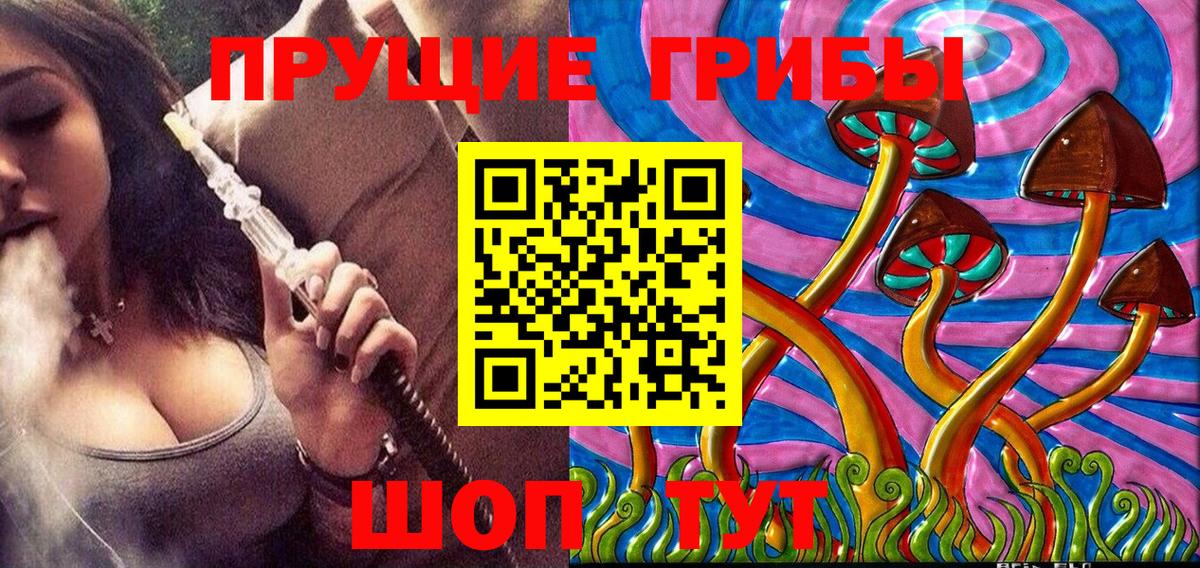 Псилоцибиновые грибы MAGIC MUSHROOMS Грязи