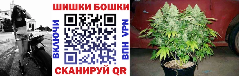 Бошки марихуана семена купить наркоту Грязи